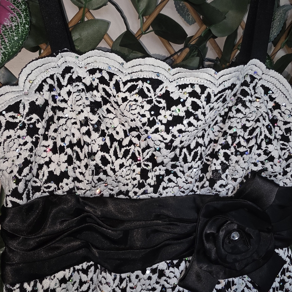 49) R&M RICHARDS Lace Dress Sz. 8 - Picture 6 of 10